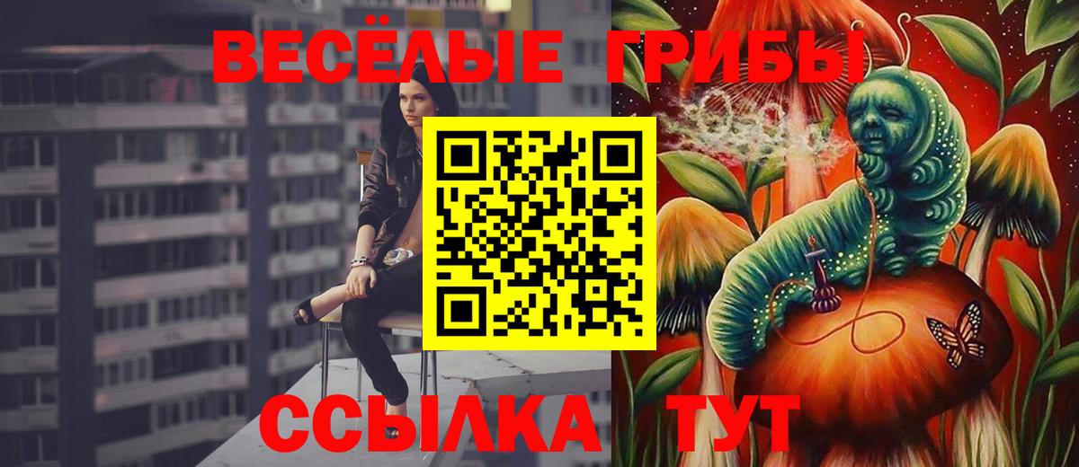 Галлюциногенные грибы прущие грибы Бузулук